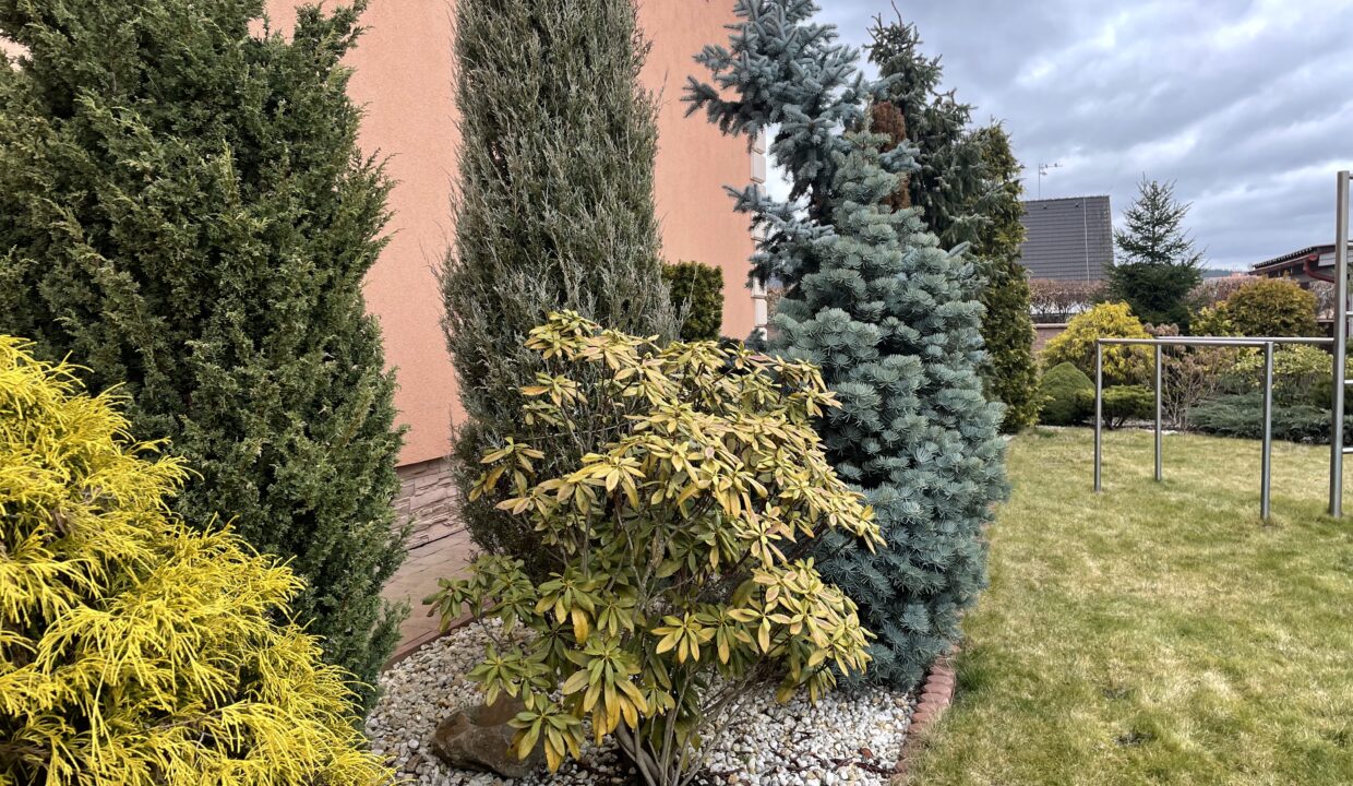 36